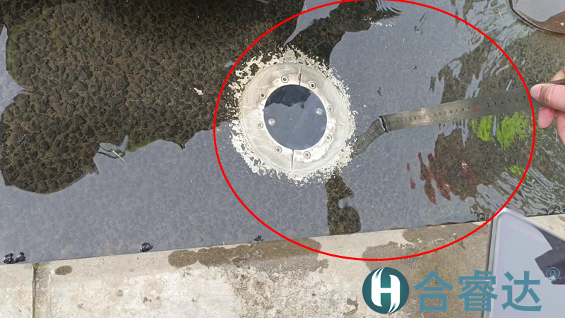 图片19.jpg